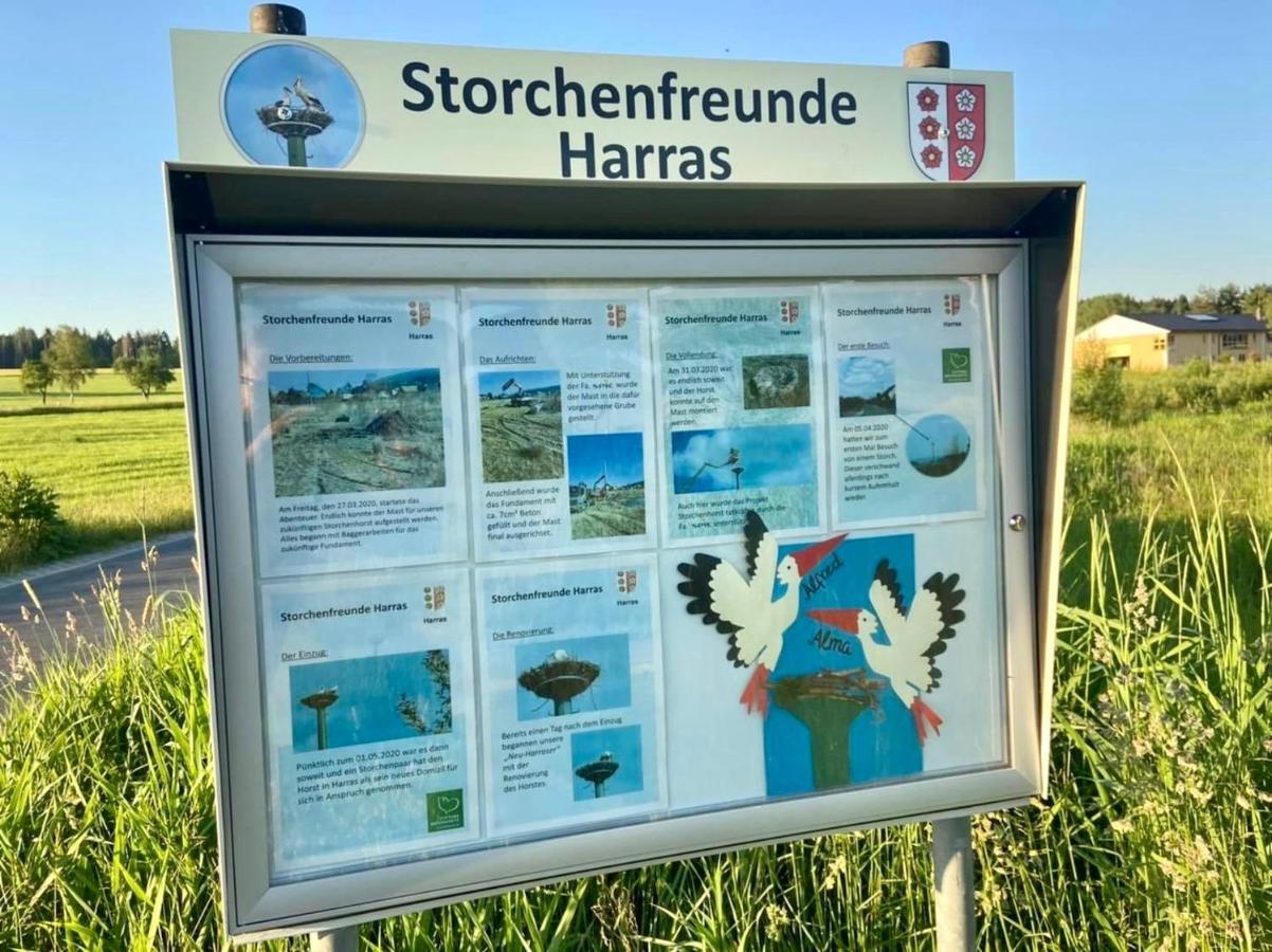 Storchennest *